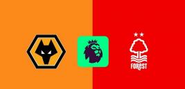 Nhận định - Soi kèo bóng đá Wolves vs Nottingham hôm nay, 3h00 ngày 7/1